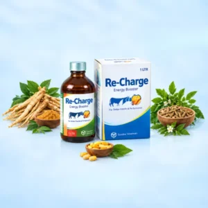 Re-Charge
